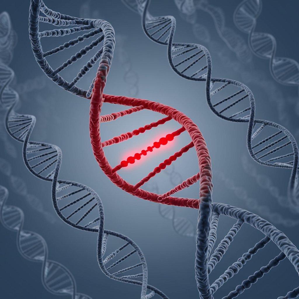 Embarking on molecular epidemiology research of infectious diseases at OHI’s in silico Laboratory of functional genomic and proteomics (LFGP)